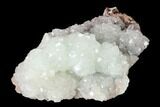 Lustrous Hemimorphite Crystal Cluster - Congo #148482-2